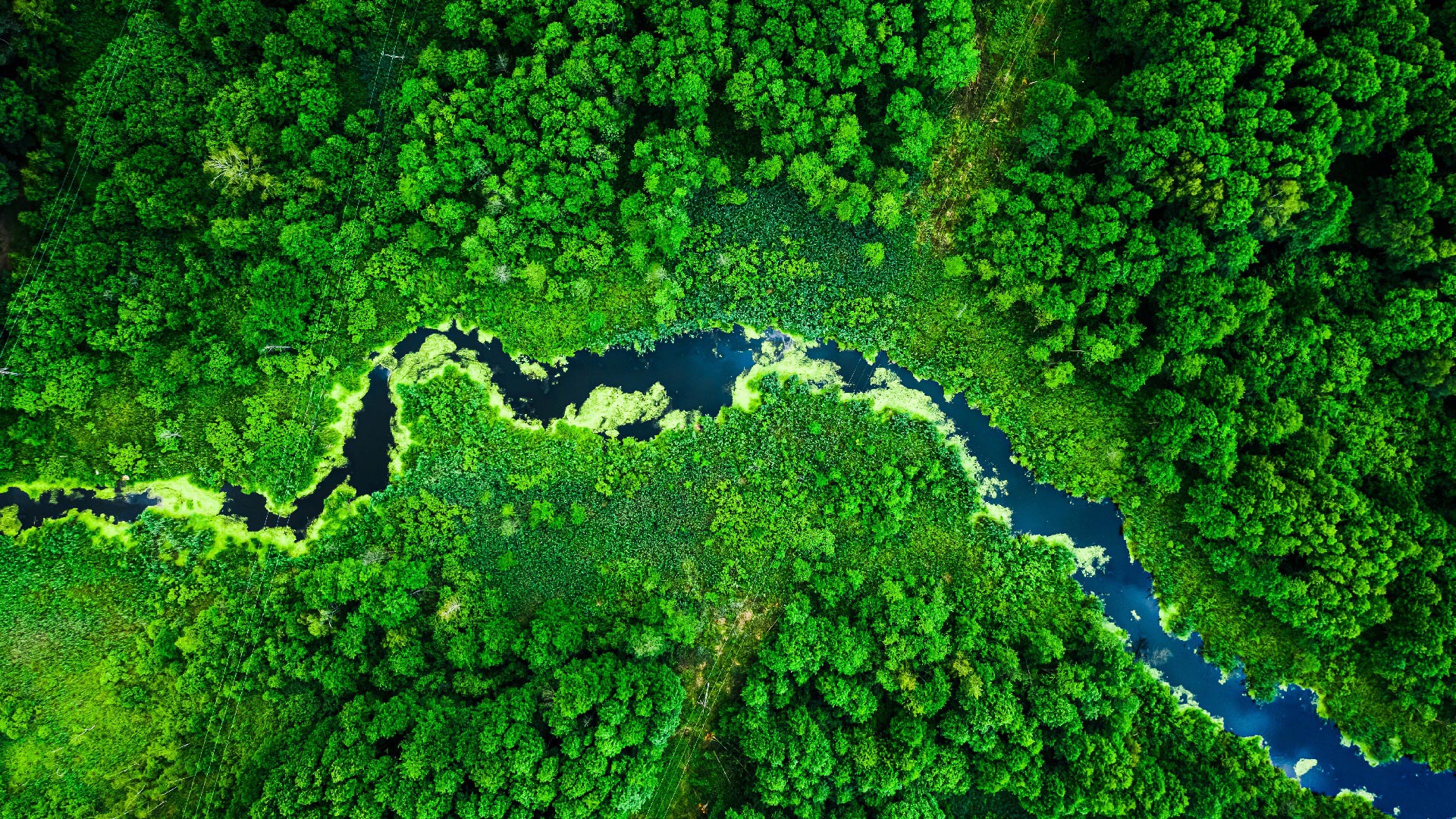 Capitalizing on the moment: Nine ways new ESG reporting rules can help investors