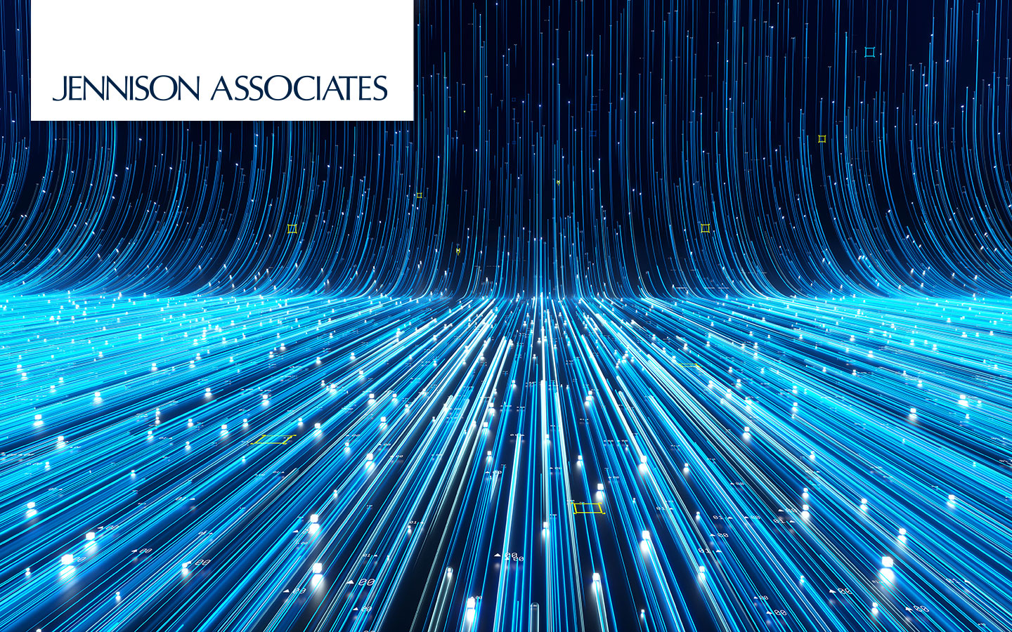 Uncovering Tech-Driven Growth in a Crowded Market