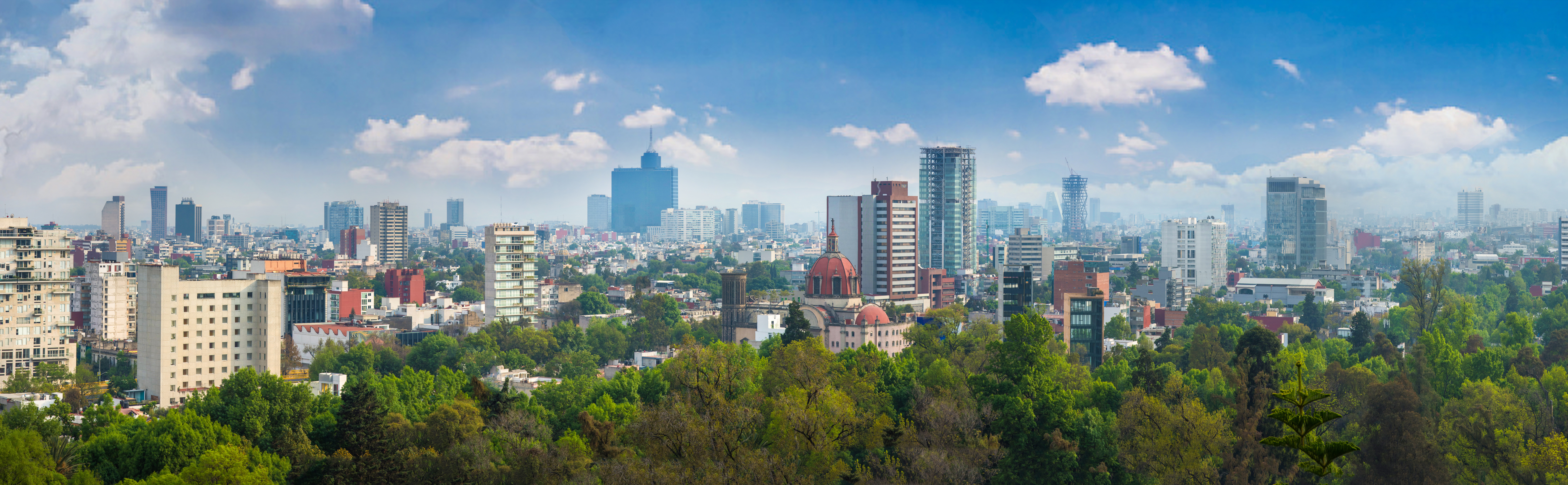 Mexico Regional Spotlight